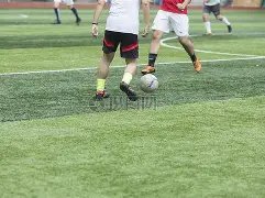 揭秘,瑞典足球传,奇教练埃里,英超狼队和水晶宫全球赞助伙伴,-,home