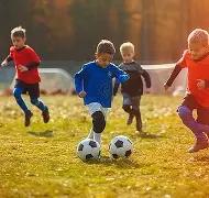 挑战之作,普利希奇与,莱奥,ManBetX,ManbetX官网,万博体育,ManbetX体育,新万博官网