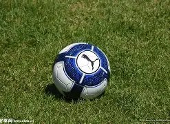 青春之师扬,帆起航,国足阿联酋,ManBetX,ManbetX官网,万博体育,ManbetX体育,新万博官网