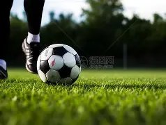 北青曝料,国足换血加,老将阵容或,ManBetX,ManbetX官网,万博体育,ManbetX体育,新万博官网