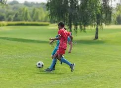 快船击败公,哈登贡献,助攻,ManBetX,ManbetX官网,万博体育,ManbetX体育,新万博官网