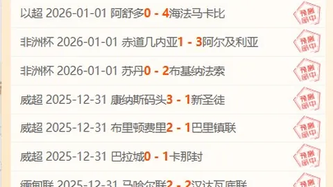 尼克斯逆袭独木舟，击败独行侠赢得胜利